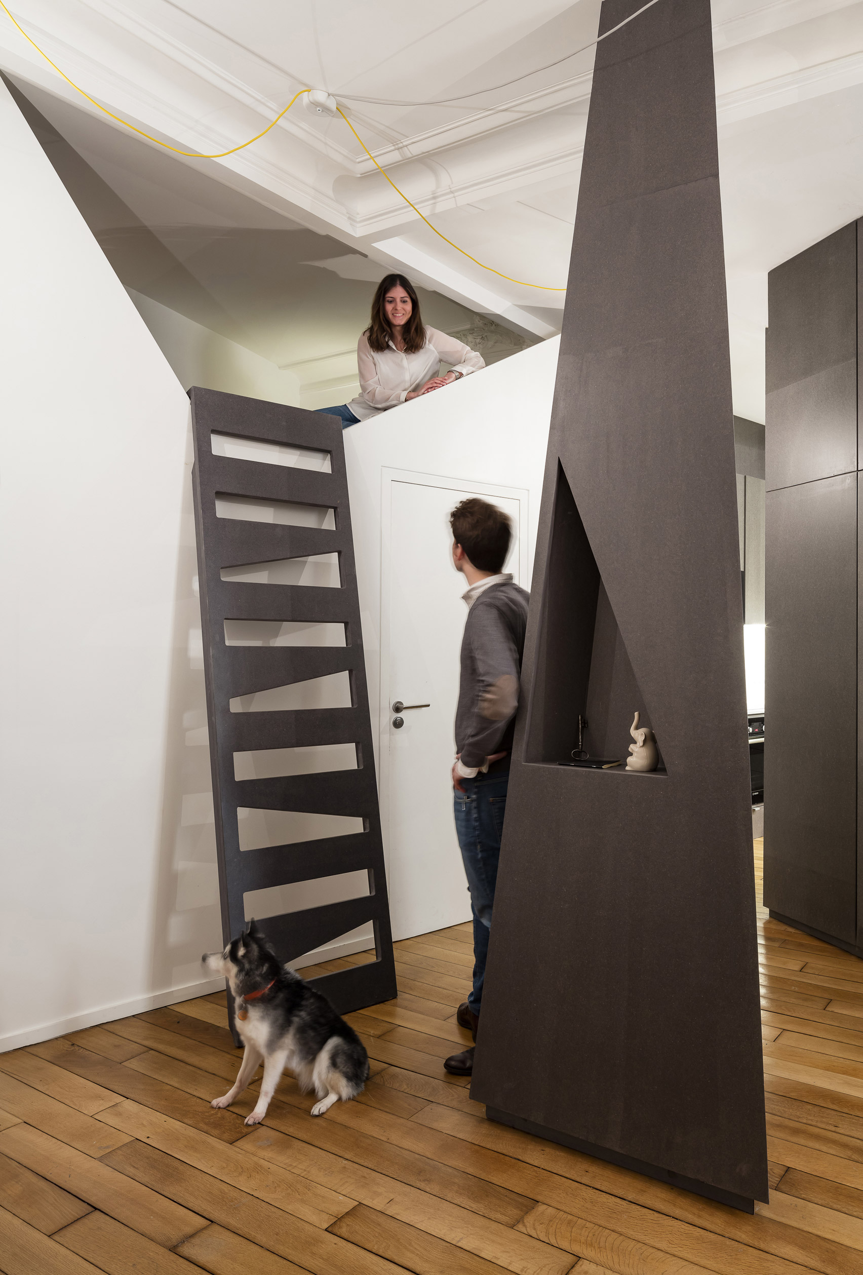 architecture_apartment_paris_france_renovation-_design_studia_interiors_osnovadesign_osnova_poltava_08