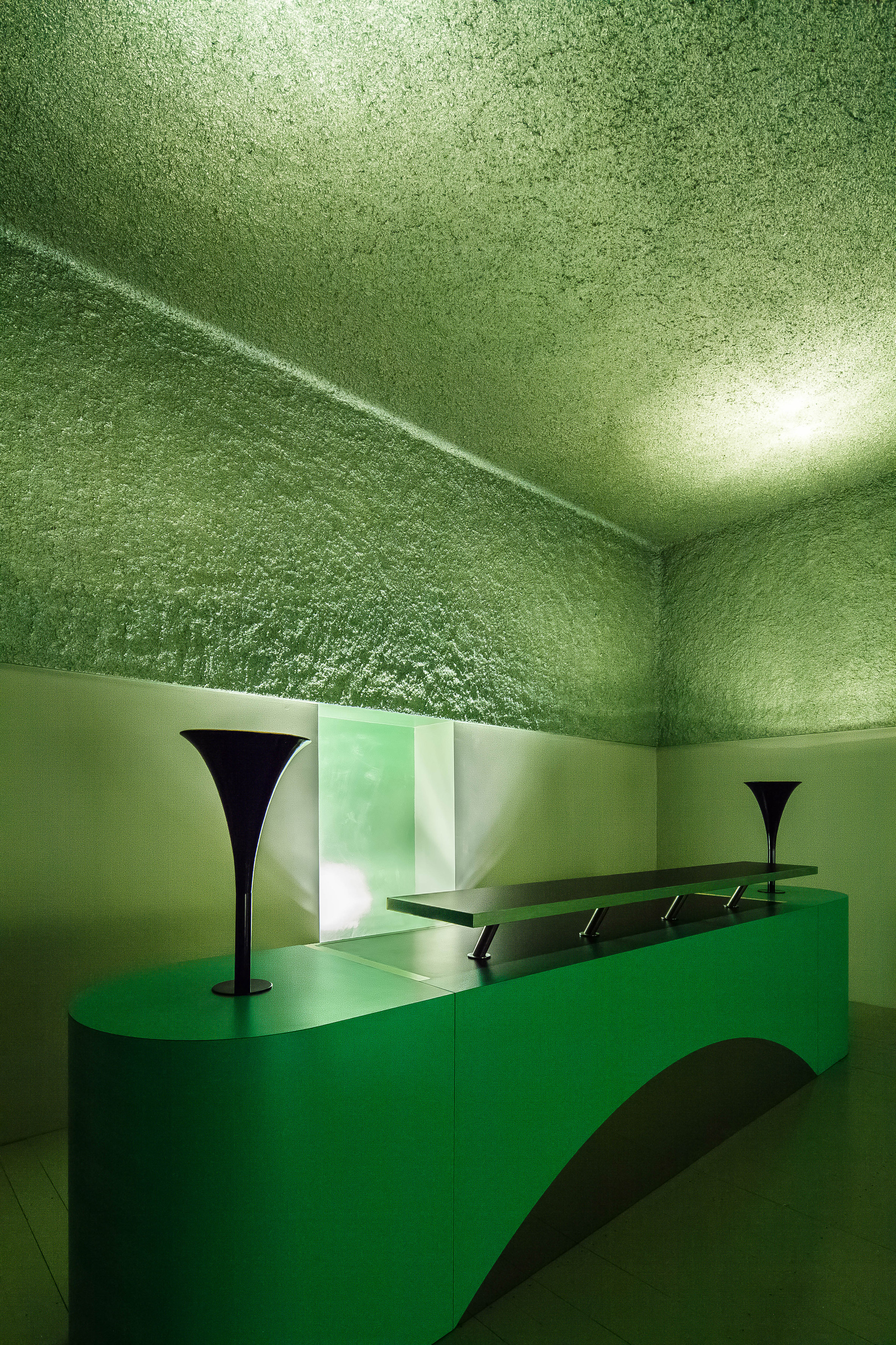 architecture-all-green-interior-design-studia-osnovadesign-osnova-poltava_04